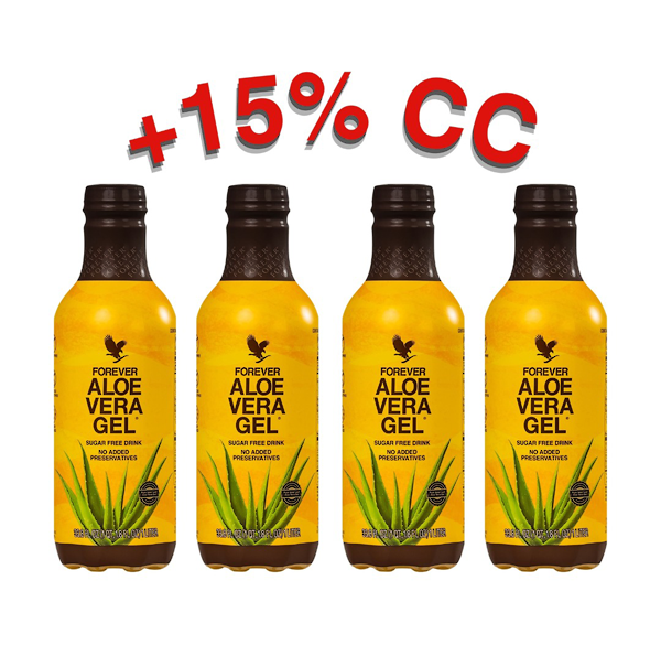 4PACK ALOE VERA GEL - PET